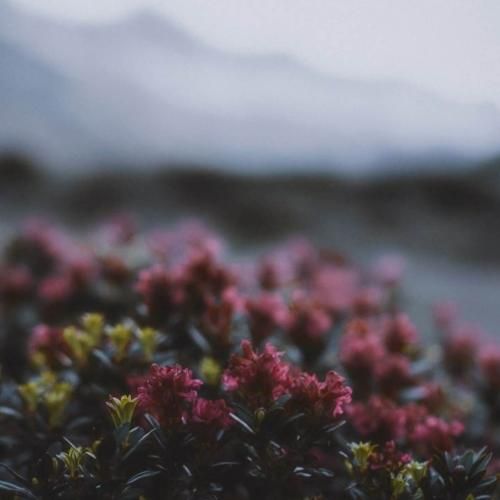  دست دل من رو شده انگاری که جادو شده زده به سرم