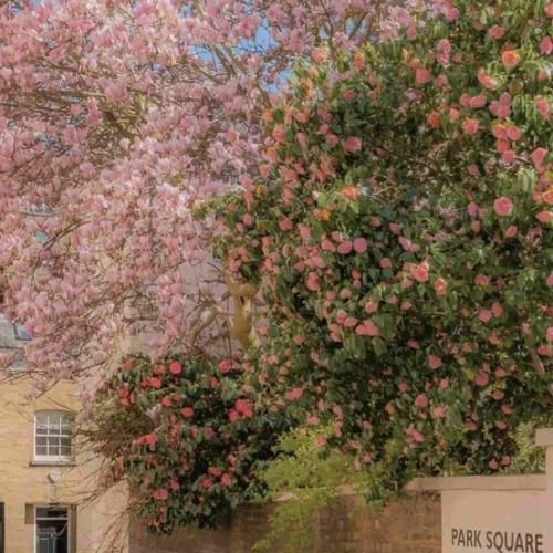 بیبی بسه همه جا پرسه حتی یه لحظه نخواستی