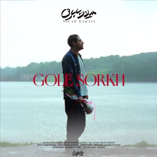 میلاد بابایی گل سرخ