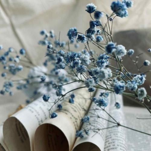 من آخرین رهگذرم تو این خیابون بلند