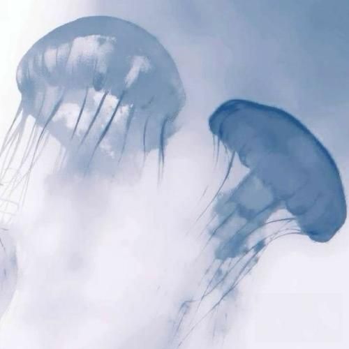  لنگ میزنم وقتی لنگی یا ببینم کم میخندی