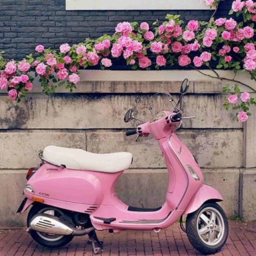 خارجی گارا گارا گا