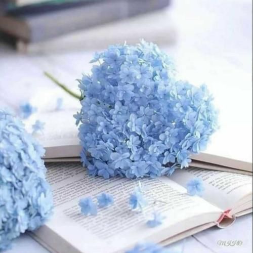 خودم ستارت میشم تو میشی آسمونم