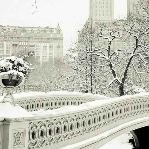 زندگی اینجا میسازه از یه آدم عاشق جانی