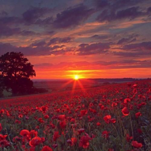  اونی که روز و شب کنارم بود رد شد ازم