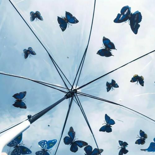 یه روزی بالاخره صبح ها باید بی اون پاشی