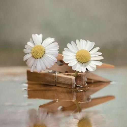 میگن اهل ترانه های شاد نیستم من ترجیح میدم