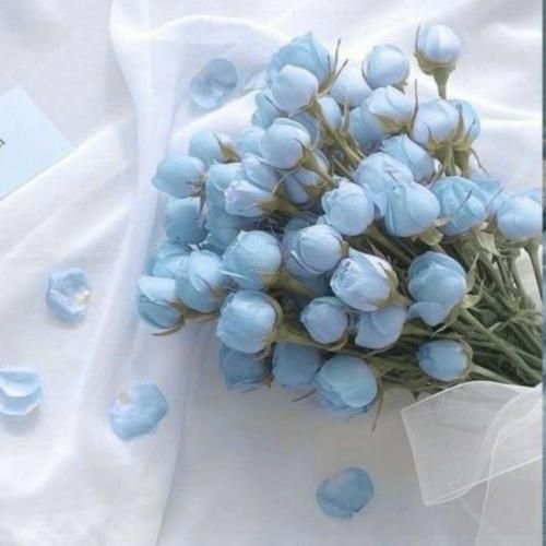 به خاطر تو میخونم یا تو یا هیچکس دیگه