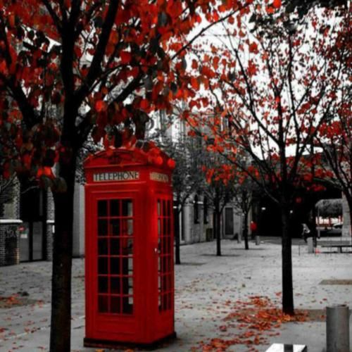 بازم نمیبره خوابم دلم تنگ شده واست کسی نگرفته جاتم