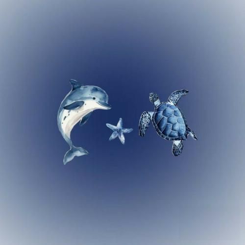  خلیجه فارس خومونه خلیج فارس خومونه