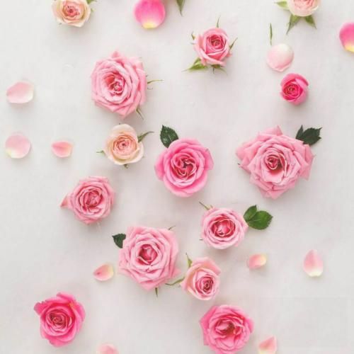 صداع جتنی دوخه – ترند عربی