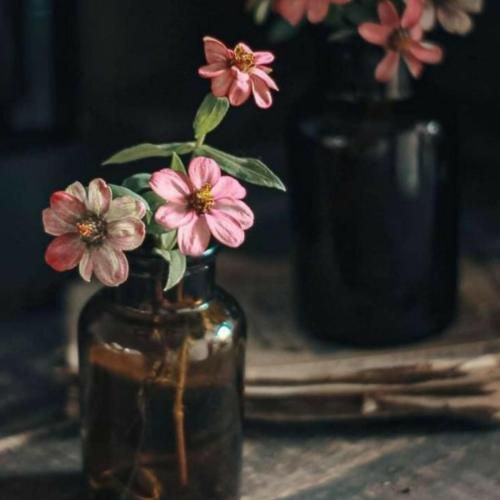 میدونستم که اسیری میدونستم داری میری