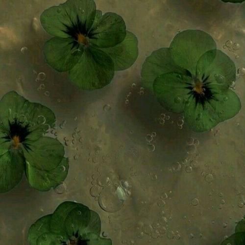 من هروقت که چشم وا کردم بودم انگار تو برزخ