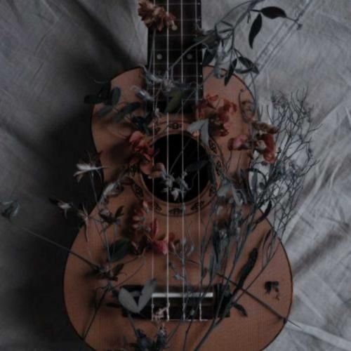 خوشتیپ فقط پارس سیاه خوشتیپ فقط یار طلا