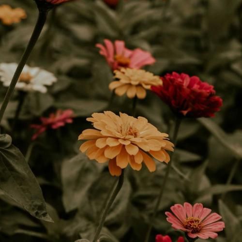 فاطمه مهلبان صبر و سکوت