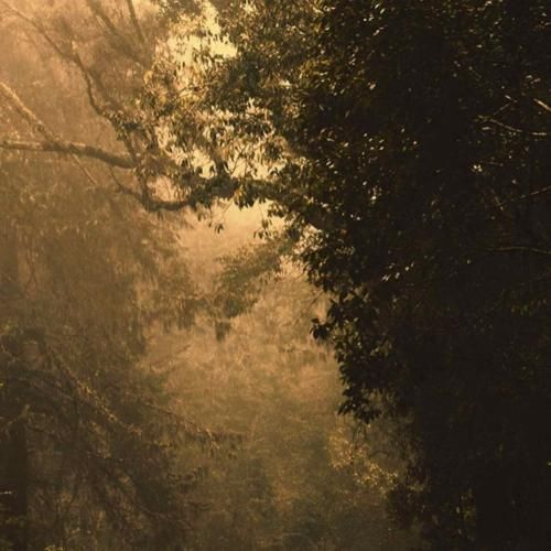  من درویش کجا کافه ی تجریش کجا