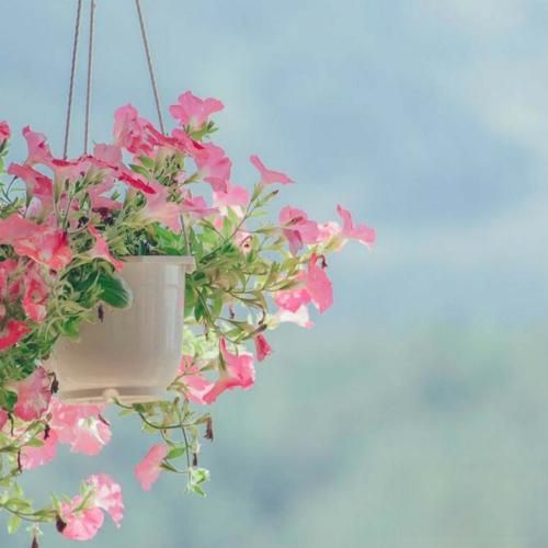 هیچی نگو نذار از چشم هم بیفتیم – هوش مصنوعی