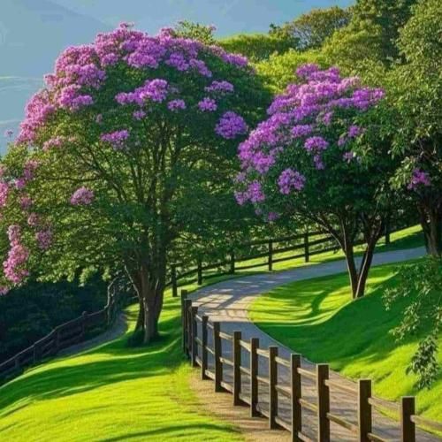 دوامو بده که من آروم شم با صدای دختر