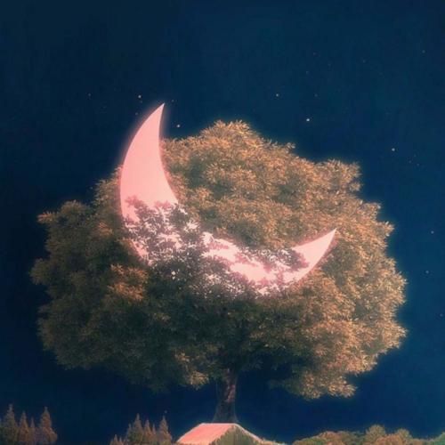 شوهر قشنگی دارم خیلی دوسش میدارم