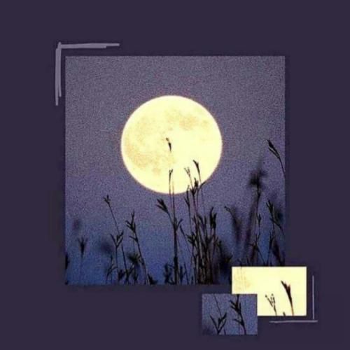 خودم روف دارم بنت بلادیم داره بنز