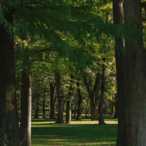 انقده دوره دلت کوره دلت یه کوه از غروره دلت – هوش مصنوعی