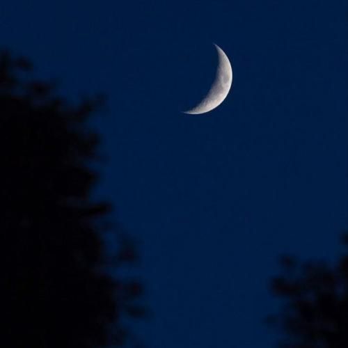 هنو نرسیده وقتش بفهمی لگد زدی به بختت