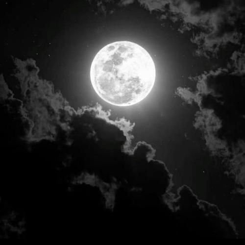  سه صبح نورس حاجی جای پامون قرص