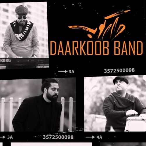 دارکوب بند منه دیوانه