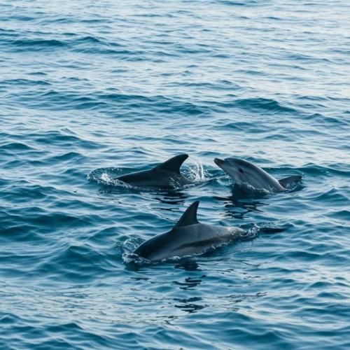  امروز اولین صبحه بدون توعه کاش هیچوقت نمیشدم بیدار