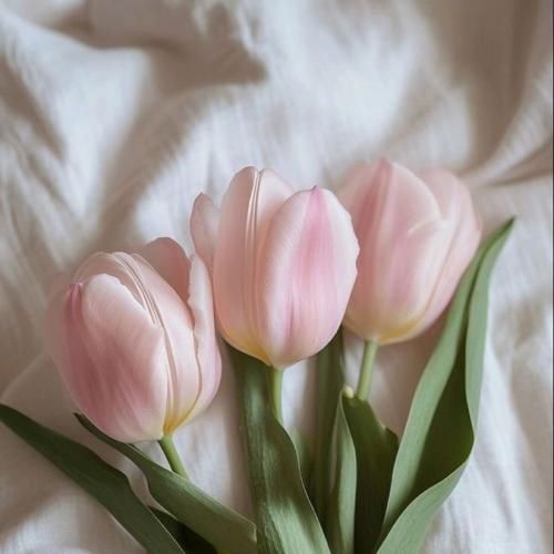 بهانه ی دلم اشکای شبانه ی دلم