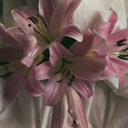 فکر کنم آخرامه بده نجاتم من گم شدم نمیاد صدامم