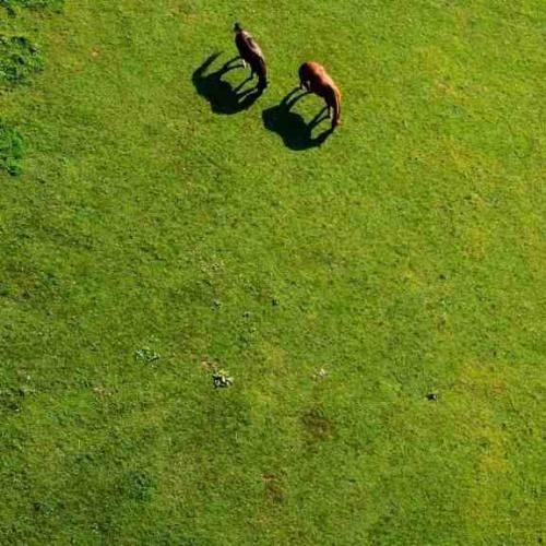 فرق داری با همه نبض قلب من مث تو نمیبینم