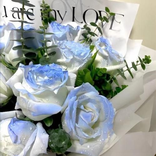  برگرد اگه خوش نمیگذشت میسپرمت به خاطراتم