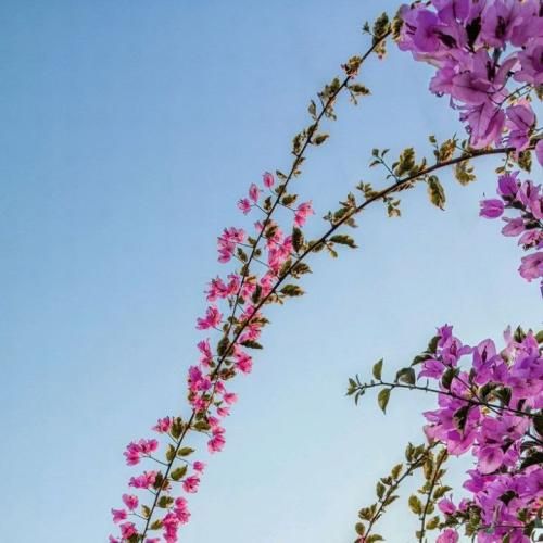  مواظبم باش نزار بمیره فردام کنار من باش