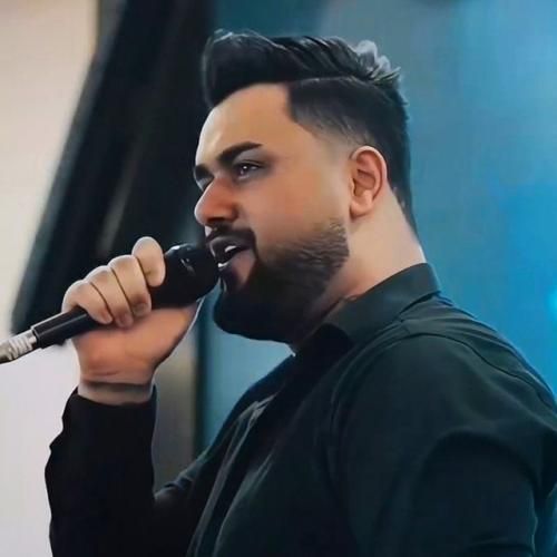 بهنام حسن زاده گل نسا