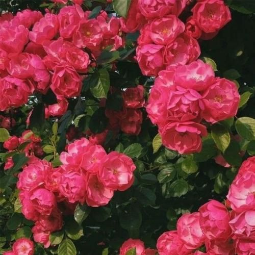  منم و یه قطار و یه بلیط تنهایی تو سرزمین غم