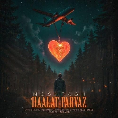 مشتاق دلوجیان حالت پرواز