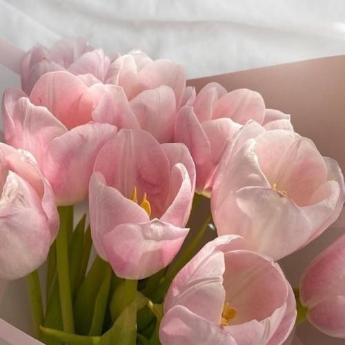 حبس شدم تو جسمی که با تو خاطره داره