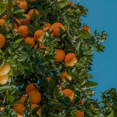 پیش من داری هنو احترام یاد من دادی نکن اعتماد