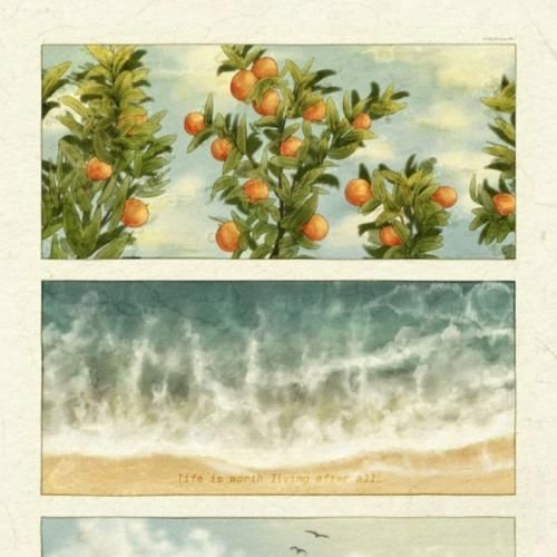 فاطمه عطایی برار