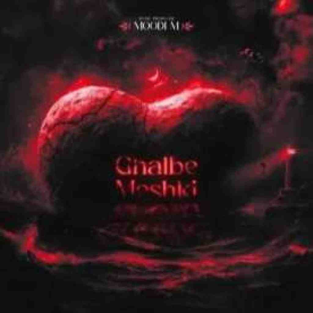 رامین تجنگی و تتلو و فرشاد آزادی و مهیاد و محمد امیری و رضا کرمی تارا و مجید ارم قلب مشکی