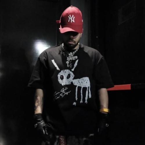 اشکان کاگان شیستی