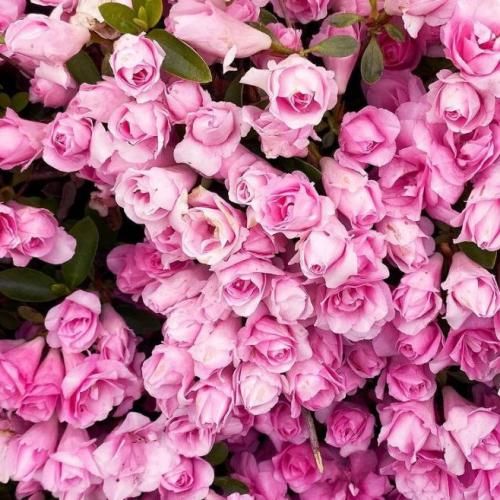  باشه برو جونم فدات میرن یه روز آدمای خوبم از یاد