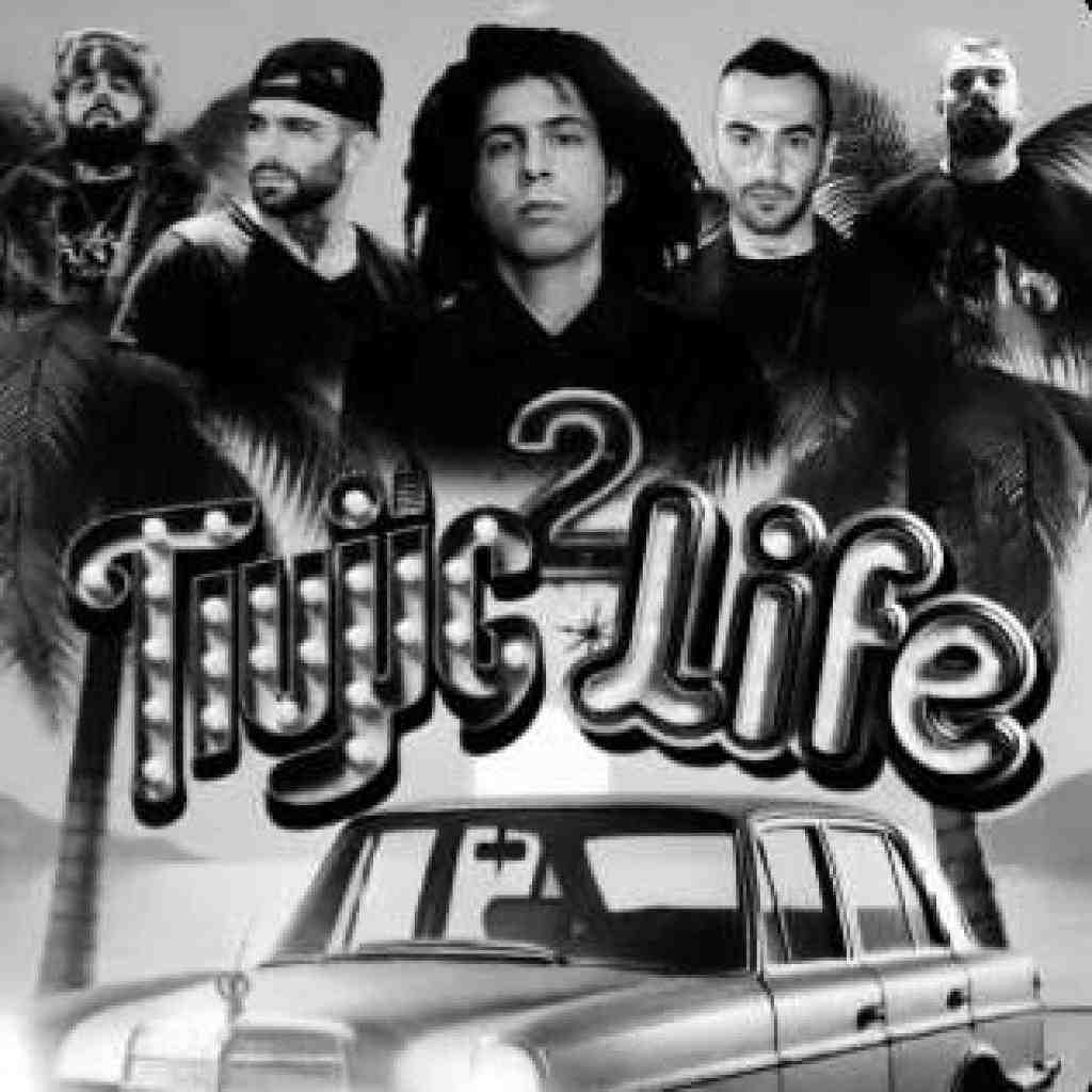 فدایی و حصین و یاس و ویناک و مسین تایگ لایف 2