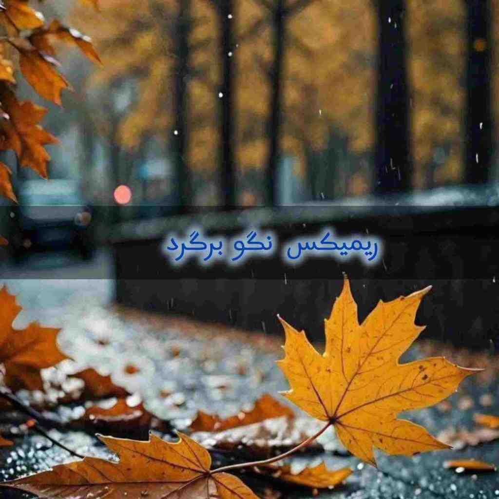 بهنام بانی و احسان خواجهامیری و محمد علیزاده و عرفان طهماسبی نگو برگرد