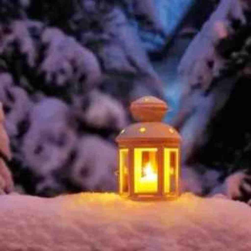 شایع و سورنا و پیشرو و ناجی و پوتک برف 3