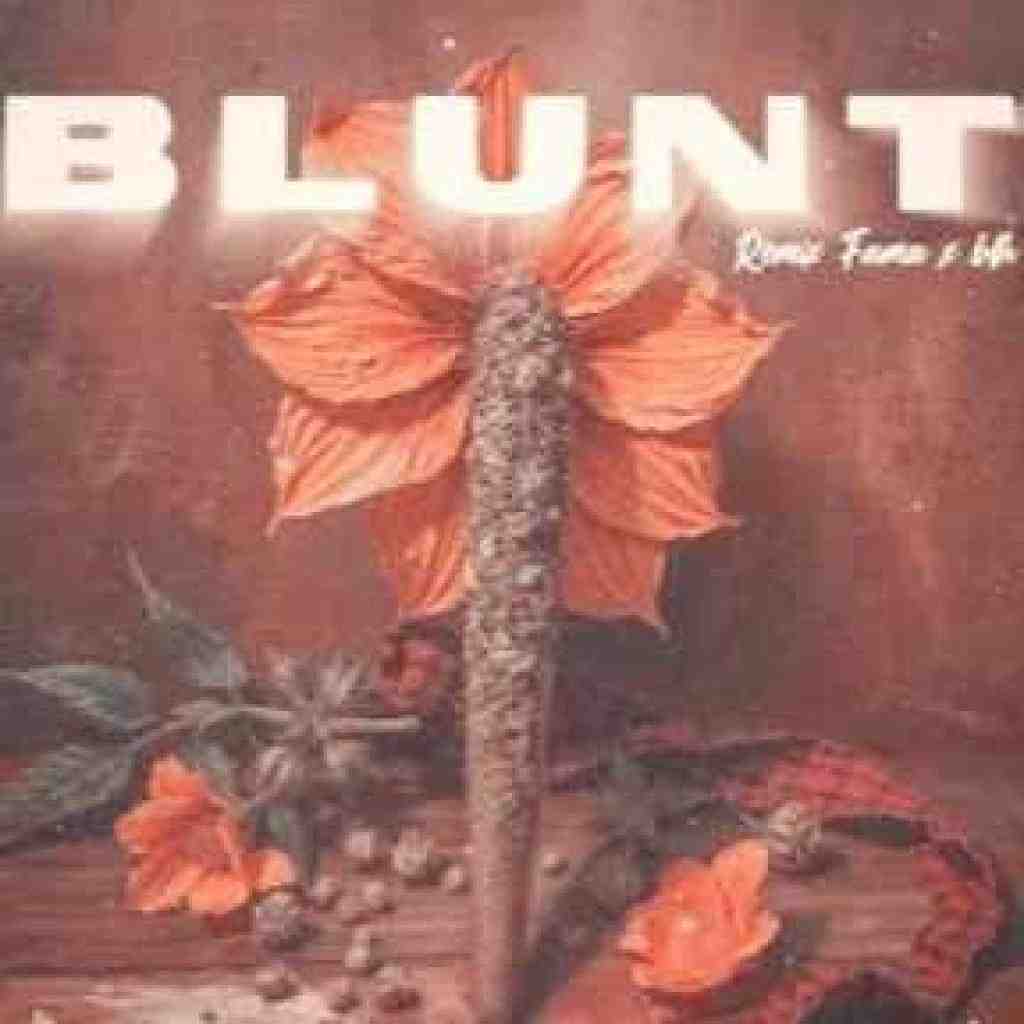 پیشرو و فدی و چرسی و ویناک و پوری و هیپهاپولوژیست و حصین بلانت