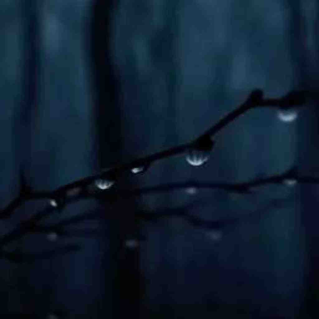 احسان وزیری و هیپهاپولوژیست و سورنا مثل تو