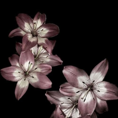 بی حرکت یه لحظه عشق واقعی برام دروغ محضه