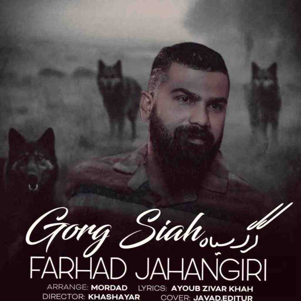 فرهاد جهانگیری  گرگ سیاه